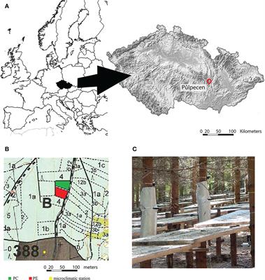 Sap flow and growth response of Norway spruce under - Frontiers